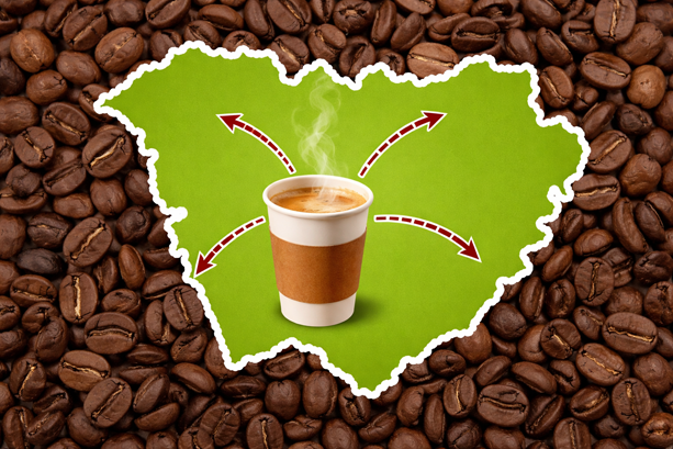 lrvertrayonintervention